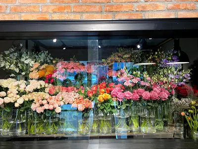 WYSOKIE ŁODYGI |Kwiaciarnia |Lubin